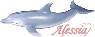  - DELFINO TURSIOPE COLLECTA.